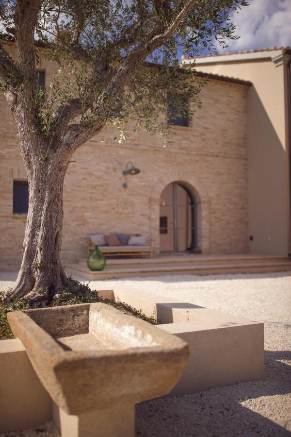 Bed and Breakfast Casale Tre Gelsi Cingoli Exterior foto