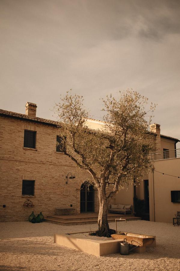 Bed and Breakfast Casale Tre Gelsi Cingoli Exterior foto